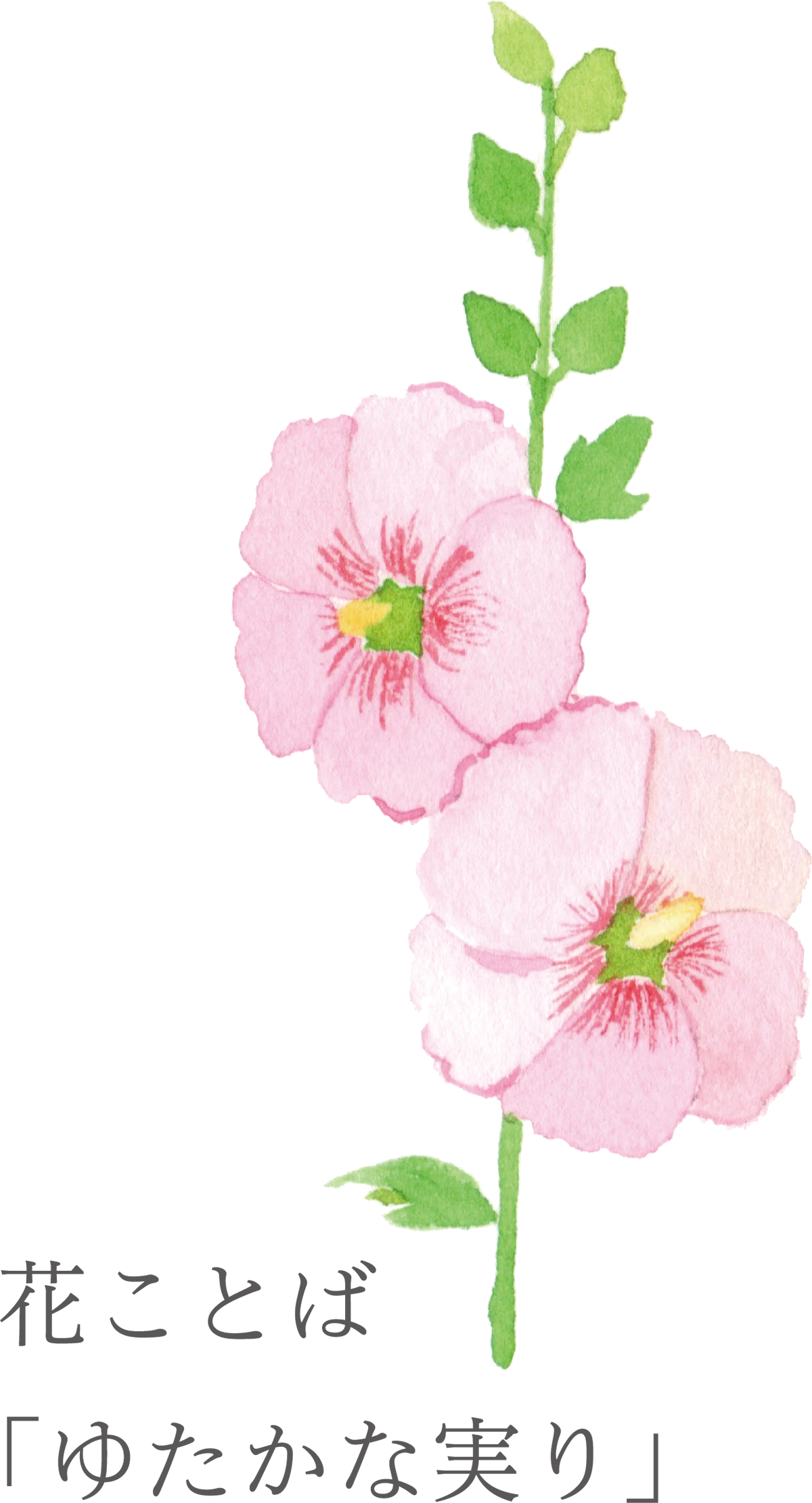 11花ことば「ゆたかな実り」