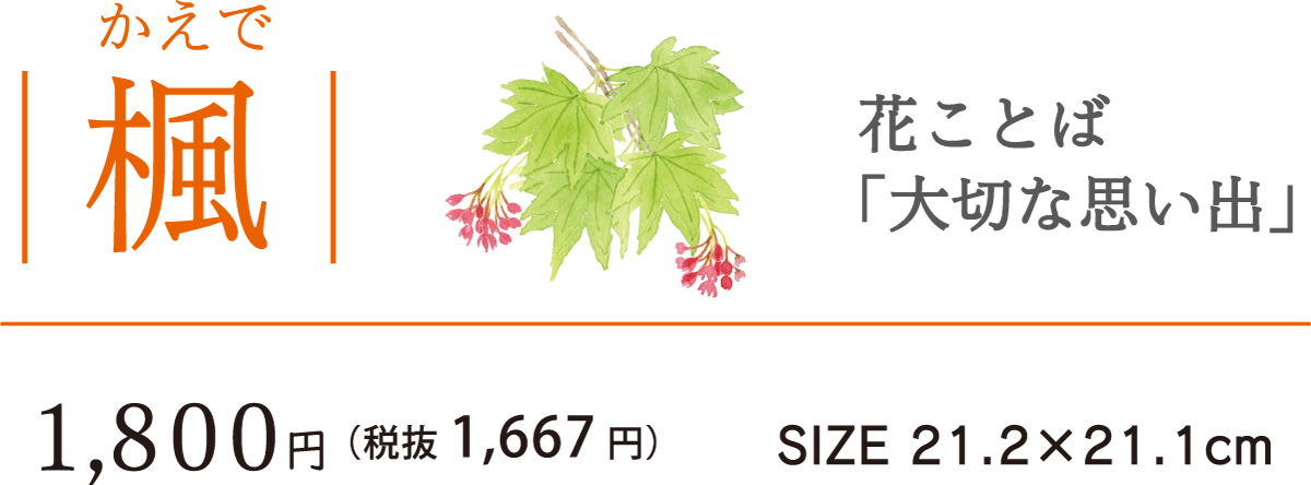 11楓