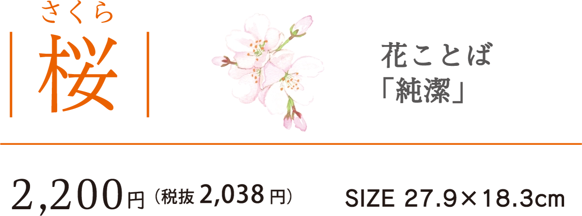 11桜