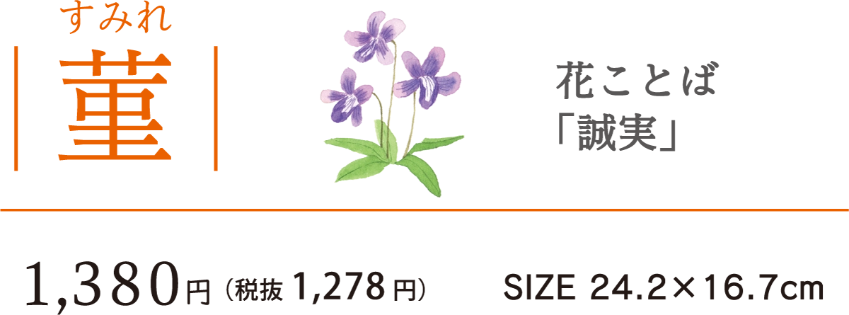 11菫