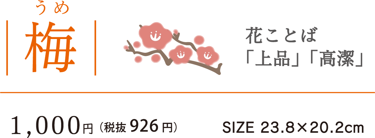 11梅
